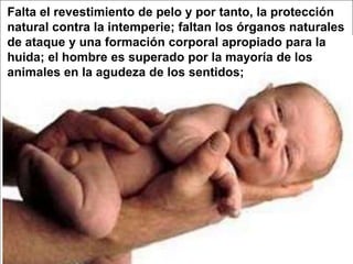 Falta el revestimiento de pelo y portanto, la protección natural contra la intemperie; faltan los órganosnaturales de ataque y unaformación corporal apropiadopara la huida; el hombre essuperadopor la mayoría de los animales en la agudeza de los sentidos;