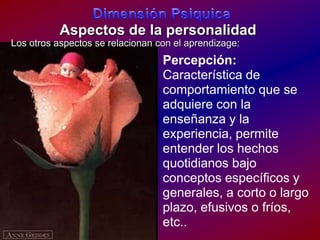 DimensiónPsiquicaAspectos de la personalidadLos otros aspectos se relacionan con el aprendizage:Percepción:Característica de comportamiento que se adquiere con la enseñanza y la experiencia, permite entender los hechos quotidianos bajo conceptos específicos y generales, a corto o largo plazo, efusivos o fríos, etc.. 