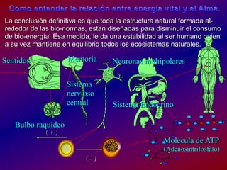 MemoriaSentidosNeuronas multipolaresSistema nervioso centralSistema EndocrinoBulbo raquideo( + )‏Molécula de ATP(Adenosintrifosfáto)‏( - )‏Como entender la relación entre energía vital y el Alma.La conclusióndefinitivaesquetoda la estructura natural formada al-rededor de las bio-normas, estandiseñadasparadisminuir el consumo de bio-energía. Esamedida, le daunaestabilidad al ser humanoquien a suvezmantiene en equilibriotodos los ecosistemasnaturales.