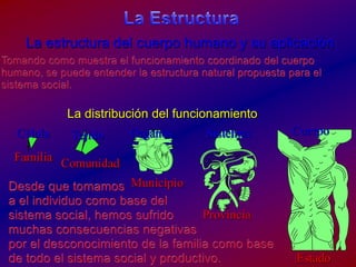 La EstructuraLa estructura del cuerpo humano y su aplicaciónTomandocomomuestra el funcionamientocoordinado del cuerpohumano, se puedeentender la estructura natural propuestapara el sistema social.La distribución del funcionamientoCuerpoCélulaOrganosSistemasTejidoFamiliaComunidadMunicipioDesdequetomamosa el individuocomo base del sistema social, hemossufridomuchasconsecuenciasnegativaspor el desconocimiento de la familiacomobase de todo el sistema social y productivo.ProvinciaEstado