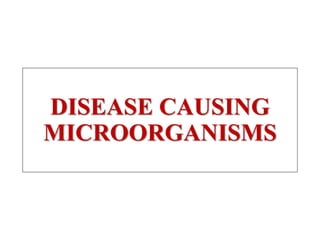 DISEASE CAUSING
MICROORGANISMS
 