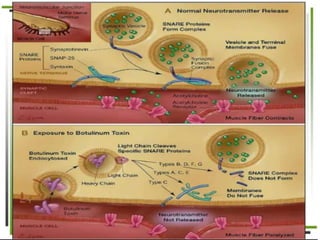 8. Disease causing microorganisms (Microbiology)