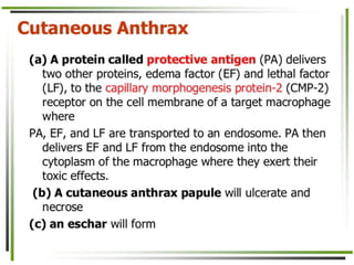 8. Disease causing microorganisms (Microbiology)