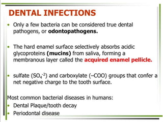 8. Disease causing microorganisms (Microbiology)