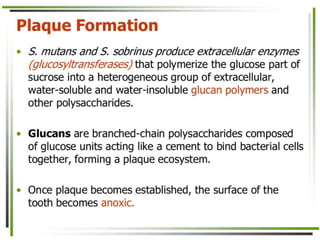 8. Disease causing microorganisms (Microbiology)
