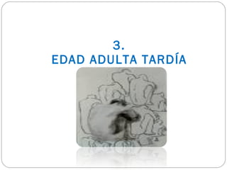 3. EDAD ADULTA TARDÍA 