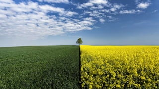 а снаружи?
• (ссылку?)
 