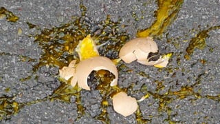 но иногда всё же пуризм
• (ссылку?)
 