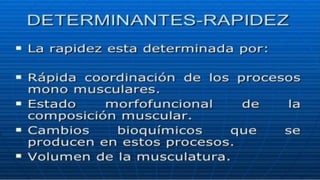 Capacidades fisicas primarias