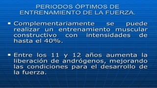 Capacidades fisicas primarias