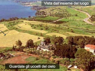 Vista dall’insieme del luogoGuardate gli uccelli del cielo