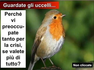 Guardate gli uccelli...Perché vi preoccu-pate tanto per la crisi, se valete più di tutto? Non cliccate