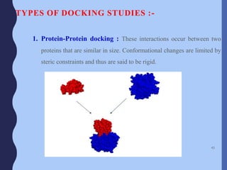 TYPES OF DOCKING STUDIES :-
1. Protein-Protein docking : These interactions occur between two
proteins that are similar in size. Conformational changes are limited by
steric constraints and thus are said to be rigid.
43
 