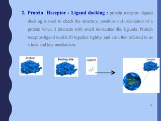 2. Protein Receptor - Ligand docking : protein receptor -ligand
docking is used to check the structure, position and orientation of a
protein when it interacts with small molecules like ligands. Protein
receptor-ligand motifs fit together tightly, and are often referred to as
a lock and key mechanism.
44
 