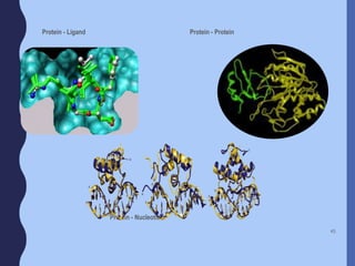 Protein - Ligand Protein - Protein
Protein - Nucleotide
45
 