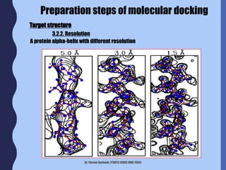 Dr. Florent Barbault, ITODYS (CNRS UMR 7086)
A protein alpha-helix with different resolution
Target structure
3.2.2. Resolution
Preparation steps of molecular docking
 