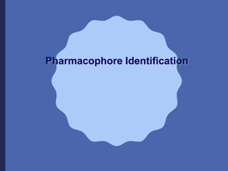 Pharmacophore Identification
 