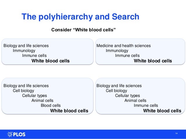 Names for case study image