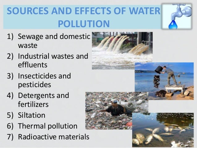 Humans And Water Pollution 95