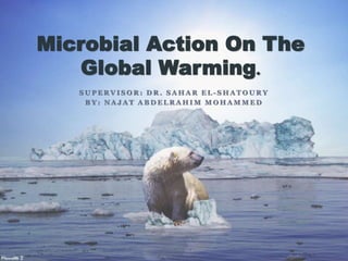 S U P E R V I S O R : D R . S A H A R E L - S H A T O U R Y
B Y : N A J A T A B D E L R A H I M M O H A M M E D
Microbial Action On The
.Global Warming
 