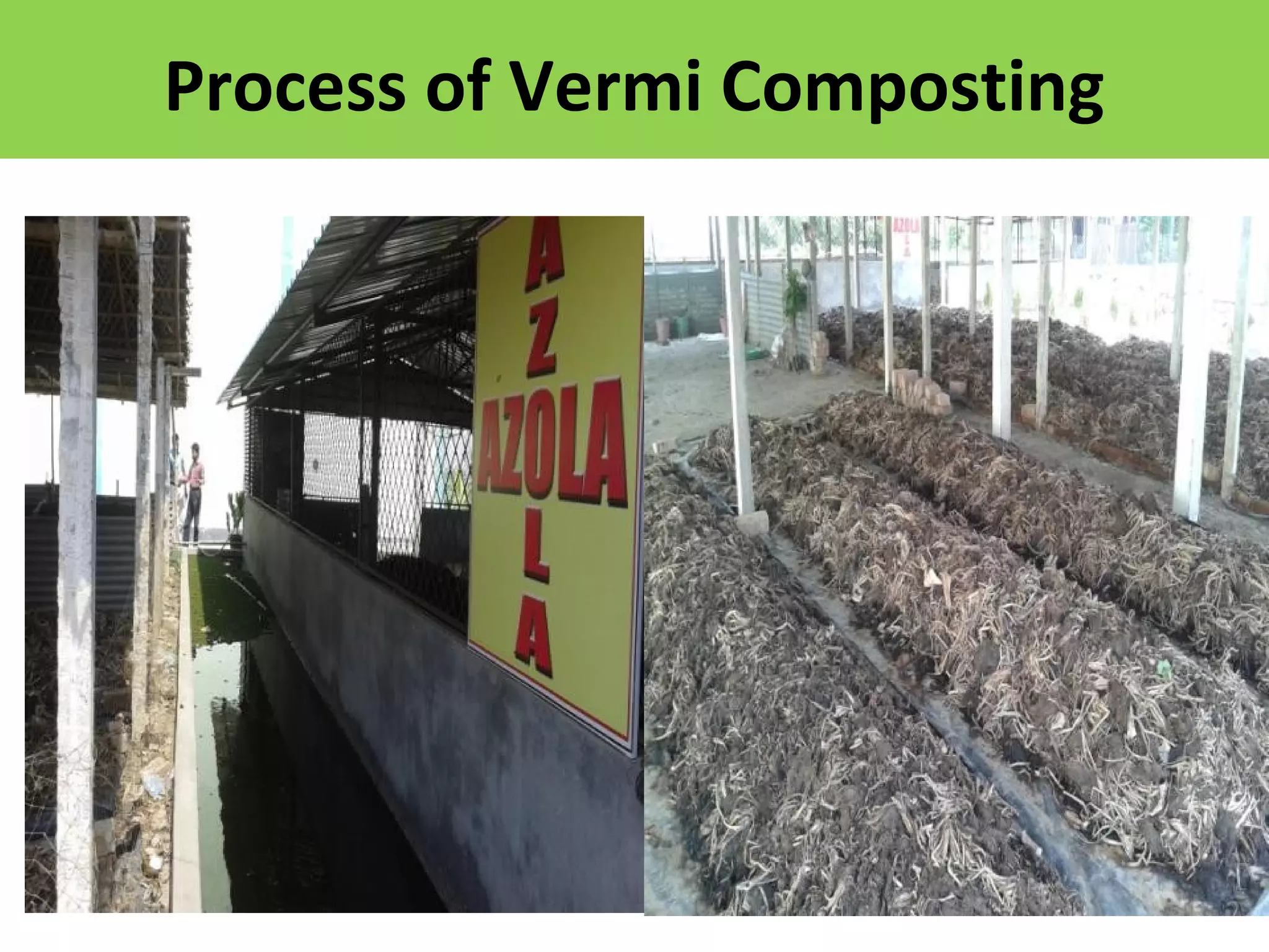 Process of Vermi Composting
 