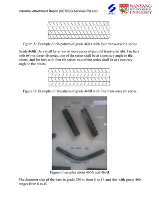 IA final report-Xing Dan from MSE | PDF