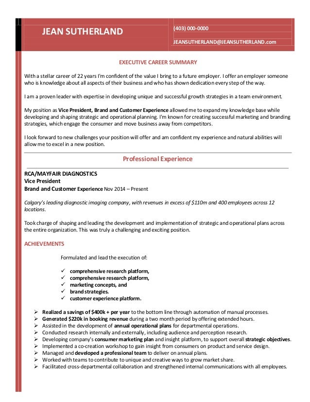 Vice President Resume