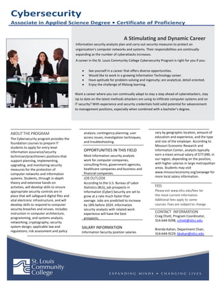 AAS Cybersecurity 2 pages | PDF