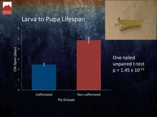 0
1
2
3
4
5
6
Caffeinated Non-caffeinated
LifeSpan(days)
Fly Groups
Larva to Pupa Lifespan
One-tailed
unpaired t-test
p = ...