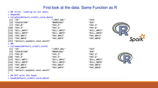 First look at the data: Same Function as R
 