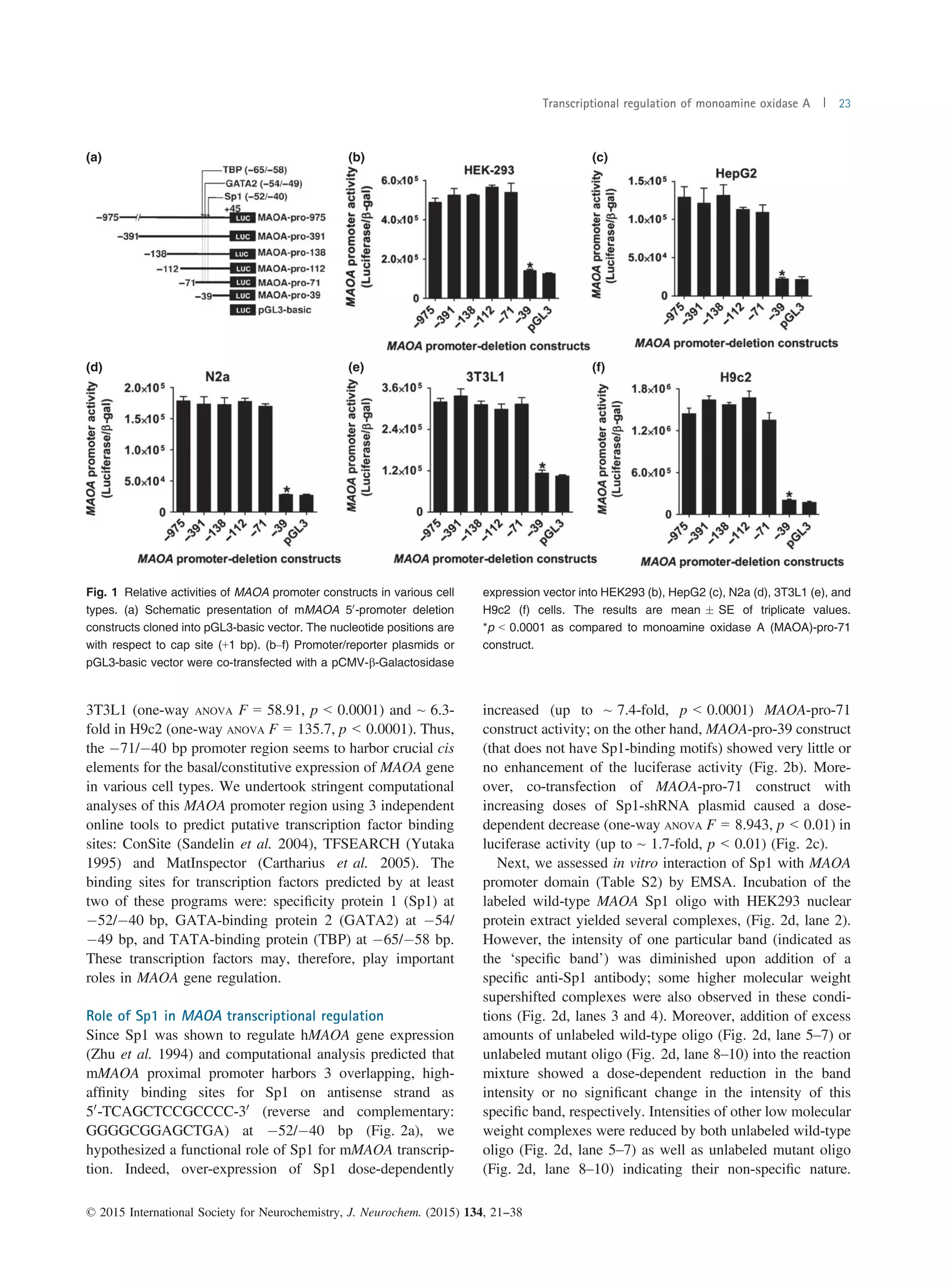 Monoamine Oxidase A Gene Molecular mechanism of monoamine oxidase A gene regulation under