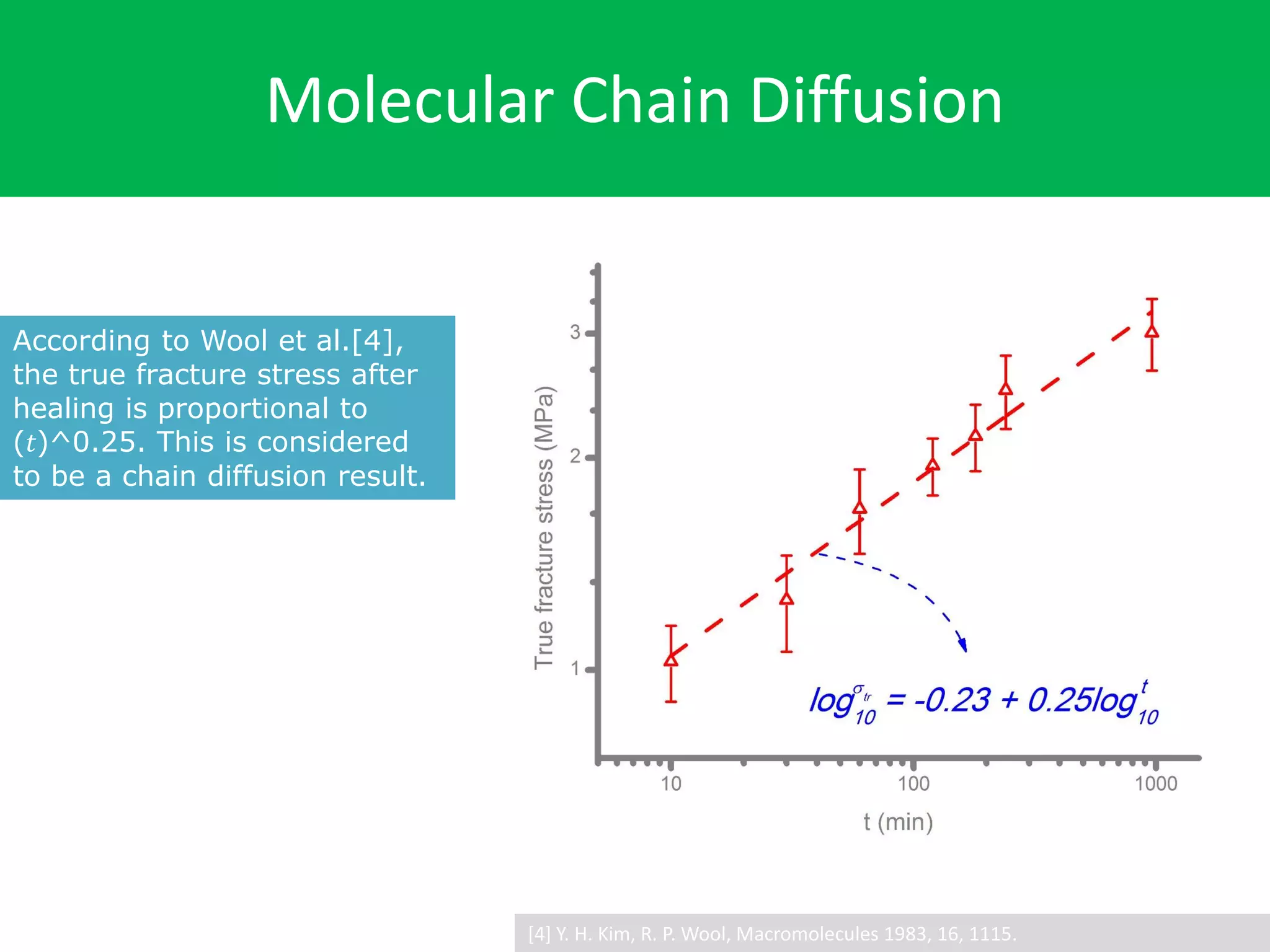 Molecular Chain Diffusion
According to Wool et al.[4],
the true fracture stress after
healing is proportional to
(𝑡)^0.25. This is considered
to be a chain diffusion result.
[4] Y. H. Kim, R. P. Wool, Macromolecules 1983, 16, 1115.
 