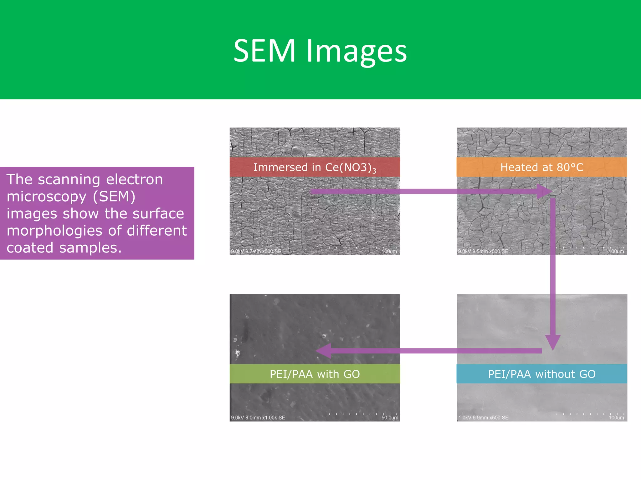 SEM Images
Immersed in Ce(NO3)3 Heated at 80°C
PEI/PAA without GOPEI/PAA with GO
The scanning electron
microscopy (SEM)
images show the surface
morphologies of different
coated samples.
 