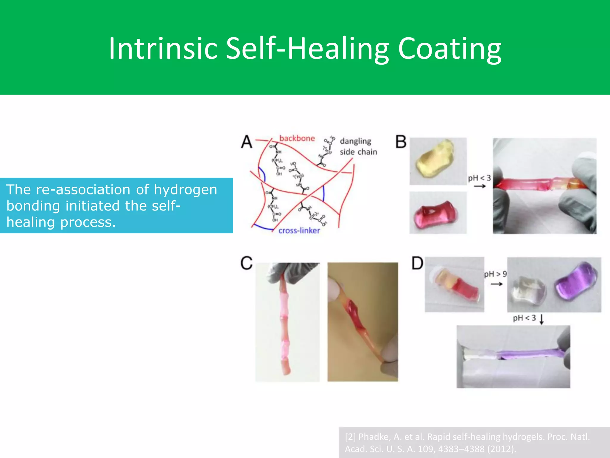 Intrinsic Self-Healing Coating
The re-association of hydrogen
bonding initiated the self-
healing process.
[2] Phadke, A. et al. Rapid self-healing hydrogels. Proc. Natl.
Acad. Sci. U. S. A. 109, 4383–4388 (2012).
 