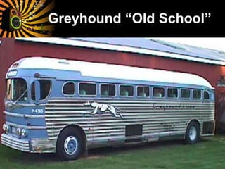Greyhound “Old School”
 