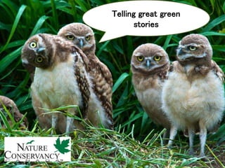 Telling great green
stories
 
