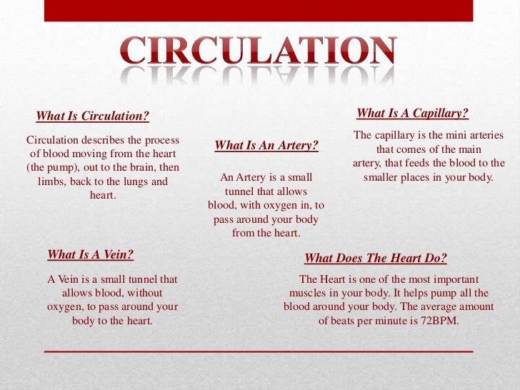 8e circulation posters