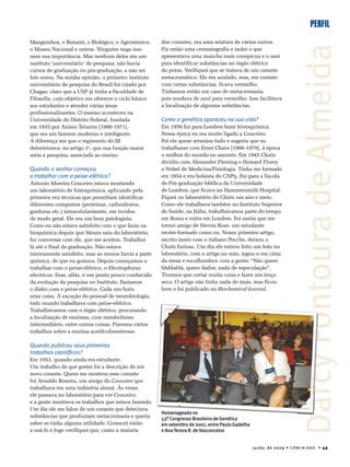 junho de 2009 • CIÊNCIA HOJE • 49
PERFIL
DarcyFontouradeAlmeidaDarcyFontouradeAlmeida
dos corantes, era uma mistura de vários outros.
Fiz então uma cromatografia e isolei o que
apresentava uma mancha mais conspícua e o usei
para identificar substâncias no órgão elétrico
do peixe. Verifiquei que se tratava de um corante
metacromático. Ele era azulado, mas, em contato
com certas substâncias, ficava vermelho.
Tínhamos então um caso de metacromasia,
pois mudava de azul para vermelho. Isso facilitava
a localização de algumas substâncias.
Como a genética apareceu na sua vida?
Em 1956 fui para Londres fazer histoquímica.
Nessa época eu era muito ligado a Couceiro.
Foi ele quem arranjou tudo e sugeriu que eu
trabalhasse com Ernst Chain [1906-1979], à época
o melhor do mundo no assunto. Em 1945 Chain
dividiu com Alexander Fleming e Howard Florey
o Nobel de Medicina/Fisiologia. Tinha me formado
em 1954 e era bolsista do CNPq. Fui para a Escola
de Pós-graduação Médica da Universidade
de Londres, que ficava no Hammersmith Hospital.
Fiquei no laboratório do Chain um ano e meio.
Como ele trabalhava também no Instituto Superior
de Saúde, na Itália, trabalhávamos parte do tempo
em Roma e outra em Londres. Foi assim que me
tornei amigo de Steven Rose, um estudante
recém-formado como eu. Nosso primeiro artigo,
escrito junto com o italiano Pocche, deixou o
Chain furioso. Um dia ele entrou feito um leão no
laboratório, com o artigo na mão, jogou-o em cima
da mesa e esculhambou com a gente: “Não quero
blablablá, quero dados; nada de especulação”.
Tivemos que cortar muita coisa e fazer um troço
seco. O artigo não tinha nada de mais, mas ficou
bom e foi publicado no Biochemical Journal.
Manguinhos, o Butantã, o Biológico, o Agronômico,
o Museu Nacional e outros. Ninguém nega isso
nem sua importância. Mas nenhum deles era um
instituto ‘universitário’ de pesquisa; não havia
cursos de graduação ou pós-graduação, a não ser
lato sensu. Na minha opinião, o primeiro instituto
universitário de pesquisa do Brasil foi criado por
Chagas; claro que a USP já tinha a Faculdade de
Filosofia, cujo objetivo era oferecer o ciclo básico
aos estudantes e atender várias áreas
profissionalizantes. O mesmo aconteceu na
Universidade do Distrito Federal, fundada
em 1935 por Anísio Teixeira [1900-1971],
que era um homem moderno e inteligente.
A diferença era que o regimento do IB
determinava, no artigo 1o
, que sua função maior
seria a pesquisa, associada ao ensino.
Quando o senhor começou
a trabalhar com o peixe-elétrico?
Antonio Moreira Couceiro estava montando
um laboratório de histoquímica, aplicando pela
primeira vez técnicas que permitiam identificar
diferentes compostos (proteínas, carboidratos,
gorduras etc.) intracelularmente, em tecidos
de modo geral. Ele era um bom patologista.
Como eu não estava satisfeito com o que fazia na
bioquímica depois que Moura saiu do laboratório,
fui conversar com ele, que me aceitou. Trabalhei
lá até o final da graduação. Não estava
inteiramente satisfeito, mas ao menos havia a parte
química, de que eu gostava. Depois começamos a
trabalhar com o peixe-elétrico, o Electrophorus
electricus. Esse, aliás, é um ponto pouco conhecido
da evolução da pesquisa no Instituto. Fazíamos
o diabo com o peixe-elétrico. Cada um fazia
uma coisa. À exceção do pessoal de neurobiologia,
todo mundo trabalhava com peixe-elétrico.
Trabalhávamos com o órgão elétrico, procurando
a localização de enzimas, com metabolismo
intermediário, entre outras coisas. Fizemos vários
trabalhos sobre a enzima acetilcolinesterase.
Quando publicou seus primeiros
trabalhos cientíﬁcos?
Em 1953, quando ainda era estudante.
Um trabalho de que gostei foi a descrição de um
novo corante. Quem me mostrou esse corante
foi Arnaldo Roseira, um amigo do Couceiro que
trabalhava em uma indústria alemã. Às vezes
ele passava no laboratório para ver Couceiro,
e a gente mostrava os trabalhos que estava fazendo.
Um dia ele me falou de um corante que detectava
substâncias que produziam metacromasia e queria
saber se tinha alguma utilidade. Comecei então
a usá-lo e logo verifiquei que, como a maioria
Homenageado no
53º Congresso Brasileiro de Genética
em setembro de 2007, entre Paulo Gadelha
e AnaTereza R. deVasconcelos
 
