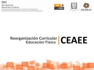 Reorganización Curricular
        Educación Física    CEAEE
 