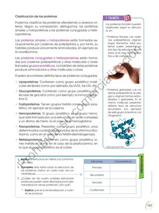 Prohibida
su
reproducción
193
Clasificación de las proteínas
Podemos clasificar las proteínas atendiendo a diversos cri-
terios. Según su composición, distinguimos: las proteínas
simples u holoproteínas y las proteínas conjugadas o hete-
roproteínas.
Las proteínas simples u holoproteínas están formadas ex-
clusivamente por cadenas de polipéptidos y, por tanto, su
hidrólisis produce únicamente aminoácidos. Un ejemplo es
la ovoalbúmina.
Las proteínas conjugadas o heteroproteínas están forma-
das por cadenas polipeptídicas y otras moléculas o iones
llamados grupos prostéticos. La hidrólisis de estas proteínas
produce aminoácidos y otras moléculas o iones.
Pueden encontrarse distintos tipos de proteínas conjugadas:
• Lipoproteínas. Contienen como grupo prostético molé-
culas de lípidos como, por ejemplo, las VLDL, las LDL, etc.
• Glucoproteínas. Contienen como grupo prostético mo-
léculas de glúcidos como, por ejemplo, la inmunoglobu-
lina G.
• Fosfoproteínas. Tienen grupos fosfato como grupo pros-
tético. Un ejemplo es la caseína.
• Hemoproteínas. El grupo prostético es el grupo hemo,
que está formado por una estructura en anillo compleja
y un átomo de hierro. Es el caso de la hemoglobina.
• Flavoproteínas. Presentan como grupo prostético unos
determinados nucleótidos derivados de la vitamina ribo-
flavina, como en el caso de la NADH-deshidrogenasa.
• Metaloproteínas. Contienen como grupo prostético io-
nes metálicos, como en el caso de la plastocianina, en
la que el grupo prostético es el cobre.
Las proteínas también pueden
clasificarse, según su estructu-
ra, en:
•Proteínas fibrosas. Las cade-
nas polipeptídicas originan
largos filamentos. Estas pro-
teínas suelen presentar un
solo tipo de estructura secun-
daria. Es el caso de la quera-
tina y del colágeno.
•Proteínas globulares. Las ca-
denas polipeptídicas se plie-
gan y originan formas redon-
deadas o globulares. En la
misma molécula presentan
distintos tipos de estructura
secundaria. Son ejemplos
de este grupo la lisozima o la
mioglobina.
y también:
E
N
G
R
UPO
Y
T
A
M
B
IÉN:
T
I
C
S
R
E
C
O
R
T
A
BLES
C
U
Actividades
3. Explica la estructura en hélice y la conforma-
ción beta.
4. Completa esta tabla sobre la estructura de
las proteínas. Indica, en cada caso, las ca-
racterísticas.
5. ¿Cuáles de las cuatro posibles estructuras
proteicas pueden verse afectadas por la des-
naturalización de las proteínas? ¿Por qué?
• Explica qué es la renaturalización y cuán-
do se produce.
Estructura Características
Primaria
Secundaria
Terciaria
Cuaternaria
http://goo.gl/qVxIqk
https://goo.gl/OLiZGU
P
r
o
h
i
b
i
d
a
s
u
c
o
m
e
r
c
i
a
l
i
z
a
c
i
ó
n
 