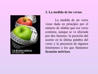 3. La medida de los versos
La medida de un verso
viene dada en principio por el
número de sílabas que ese verso
contiene, aunque se ve afectada
por dos factores: la posición del
acento en la última palabra del
verso y la presencia de algunos
fenómenos a los que llamamos
licencias métricas.
 