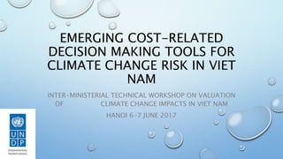 EMERGING COST-RELATED
DECISION MAKING TOOLS FOR
CLIMATE CHANGE RISK IN VIET
NAM
INTER-MINISTERIAL TECHNICAL WORKSHOP ON VALUATION
OF CLIMATE CHANGE IMPACTS IN VIET NAM
HANOI 6-7 JUNE 2017
 