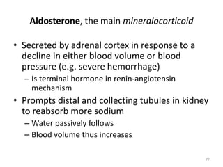 77
Aldosterone, the main mineralocorticoid
• Secreted by adrenal cortex in response to a
decline in either blood volume or blood
pressure (e.g. severe hemorrhage)
– Is terminal hormone in renin-angiotensin
mechanism
• Prompts distal and collecting tubules in kidney
to reabsorb more sodium
– Water passively follows
– Blood volume thus increases
 