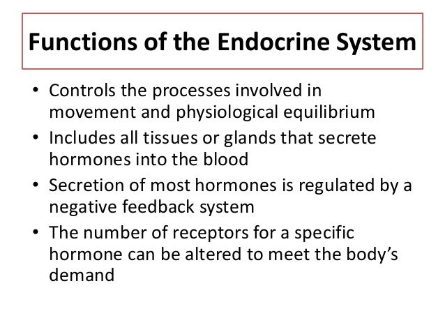 Endocrine system
