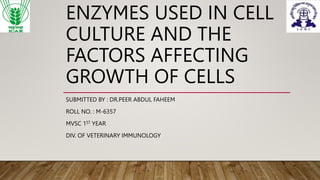 ENZYMES USED IN CELL
CULTURE AND THE
FACTORS AFFECTING
GROWTH OF CELLS
SUBMITTED BY : DR.PEER ABDUL FAHEEM
ROLL NO. : M-6357
MVSC 1ST YEAR
DIV. OF VETERINARY IMMUNOLOGY
 
