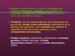 » Lípidos: macromoléculas orgánicas formadas por
carbono, hidrógeno y oxígeno, que participan en
funciones energéticas y estructurales de los seres
vivos. Son insolubles en agua.
» Proteínas: son las macromoléculas más abundantes de
las células; actúan como anticuerpos, participando en la
defensa del organismo; como enzimas que aceleran la
velocidad de las reacciones químicas y como
componentes estructurales.
» Ácidos nucleicos: almacenan y transportan el mensaje
genético. Existen dos tipos: el ácido
desoxirribonucleico (ADN) y el ácido ribonucleico
(ARN).
 