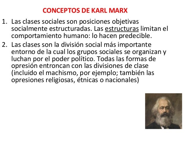 8 estructura social