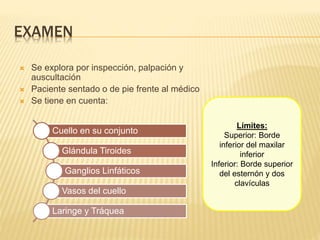 EXAMEN
 Se explora por inspección, palpación y
auscultación
 Paciente sentado o de pie frente al médico
 Se tiene en cuenta:
Cuello en su conjunto
Glándula Tiroides
Ganglios Linfáticos
Vasos del cuello
Laringe y Tráquea
Límites:
Superior: Borde
inferior del maxilar
inferior
Inferior: Borde superior
del esternón y dos
clavículas
 