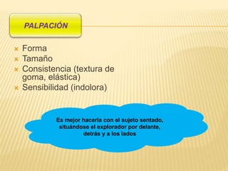  Forma
 Tamaño
 Consistencia (textura de
goma, elástica)
 Sensibilidad (indolora)
Es mejor hacerla con el sujeto sentado,
situándose el explorador por delante,
detrás y a los lados
 