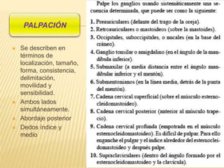  Se describen en
términos de
localización, tamaño,
forma, consistencia,
delimitación,
movilidad y
sensibilidad.
 Ambos lados
simultáneamente.
 Abordaje posterior
 Dedos índice y
medio
 
